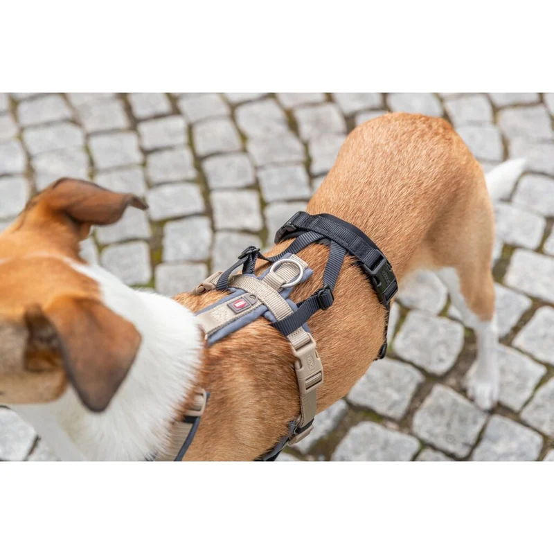 Trixie Panic Adapter Stay for Dog Harnesses - BLACK/L-XL