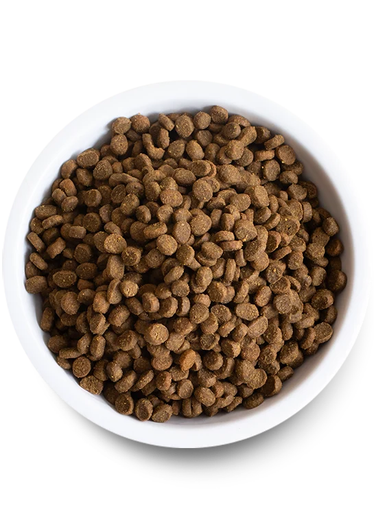 Open Farm Grain Free Catch of the Season Whitefish Dry Cat Food - 90G