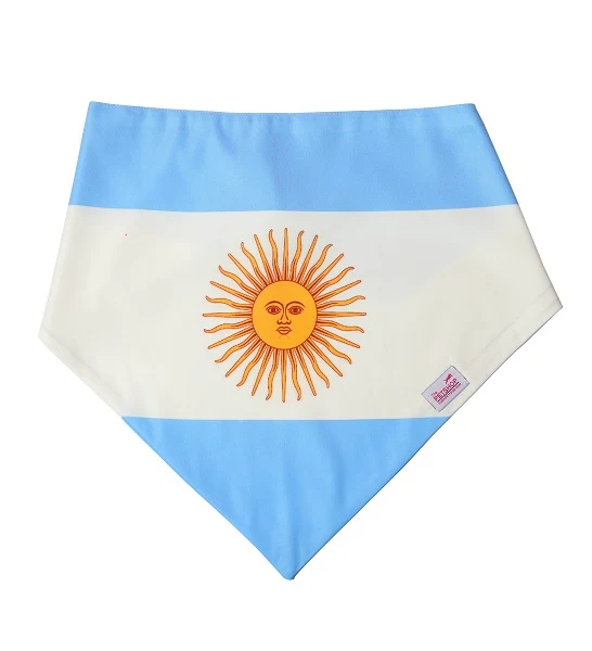 ZiggyDog Argentina Flag Dog & Cat Bandana