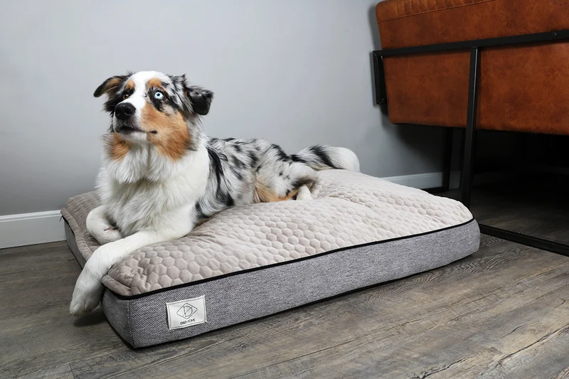 D&D Celia Ergonomic Cushion Non-slip Bottom Bed for Dogs