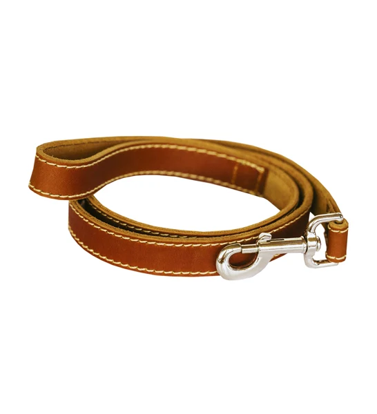 Huntlea Leopard Leather Dog Lead
