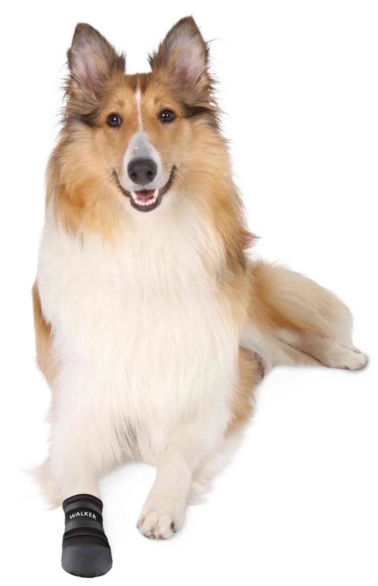 Trixie Walker Care Protective Boots for Dogs