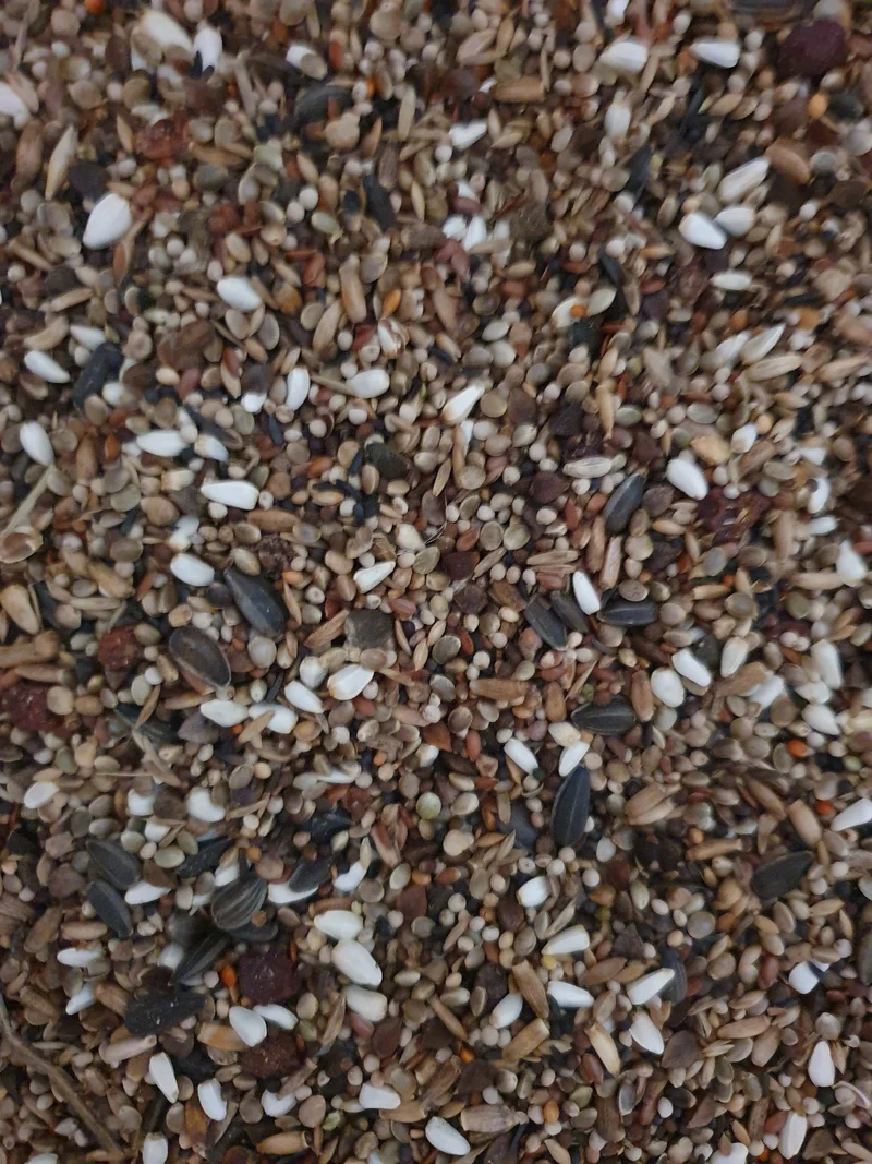 Camachuelos Tío Freddy 15kg - Hobbyfarm Hoebregts
