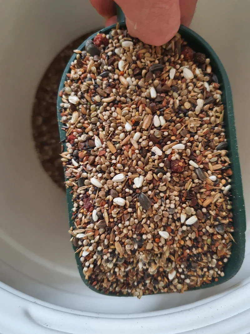 Camachuelos Tío Freddy 15kg - Hobbyfarm Hoebregts