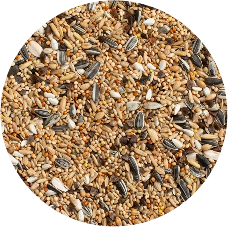 Periquitos grandes estándar 20 kg - Deli Nature 30