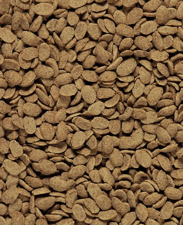 Nutribird P15 original 3kg - Pellets extrusionados - Alimento de mantenimiento para loros