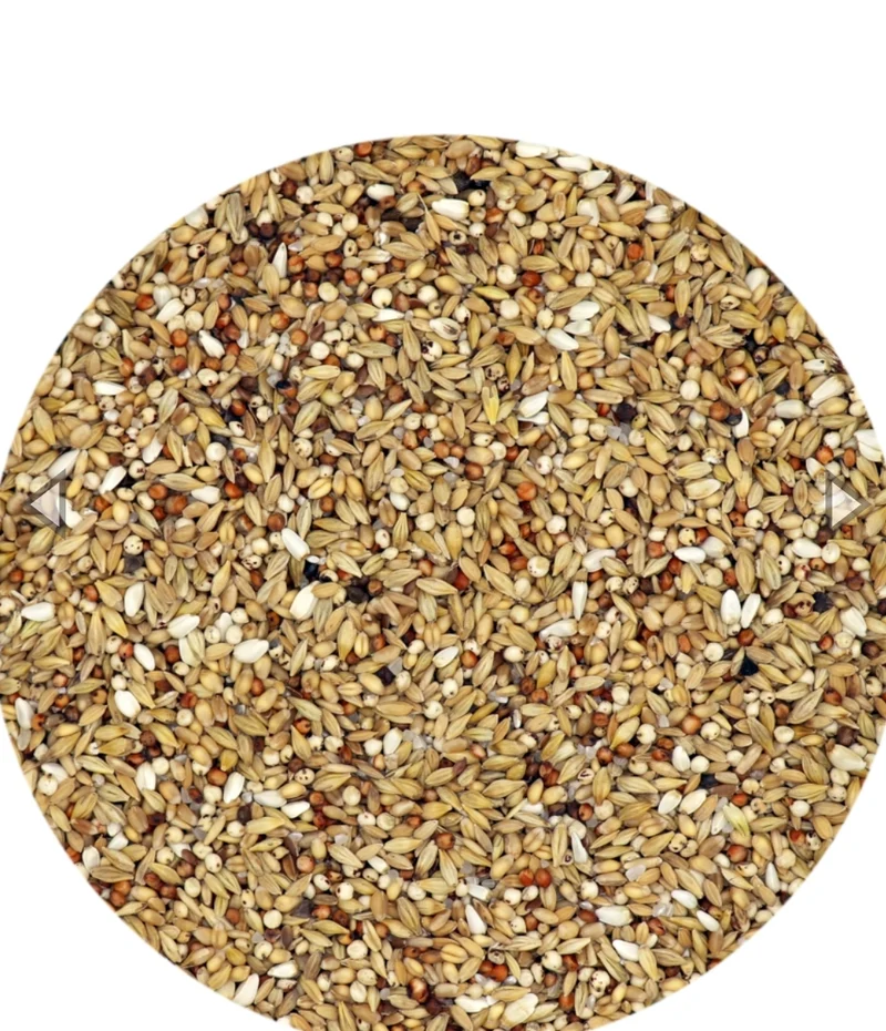 Tradi Purification - Pienso para palomas - 25 kg - Versele Laga