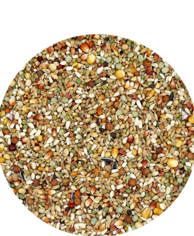 Plus IC+ Junior Young Pigeons 20kg - Pienso para palomas - 20 kg - Versele Laga