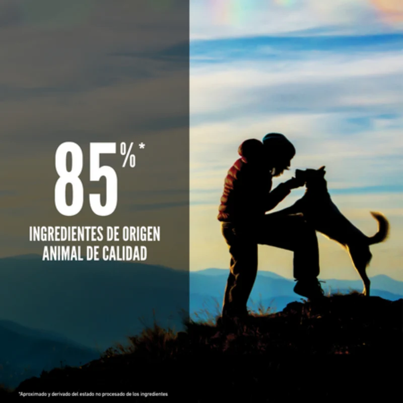 Orijen Dog Original