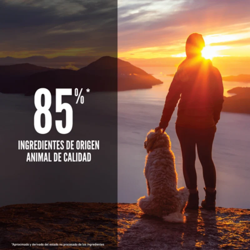 Orijen Dog Senior
