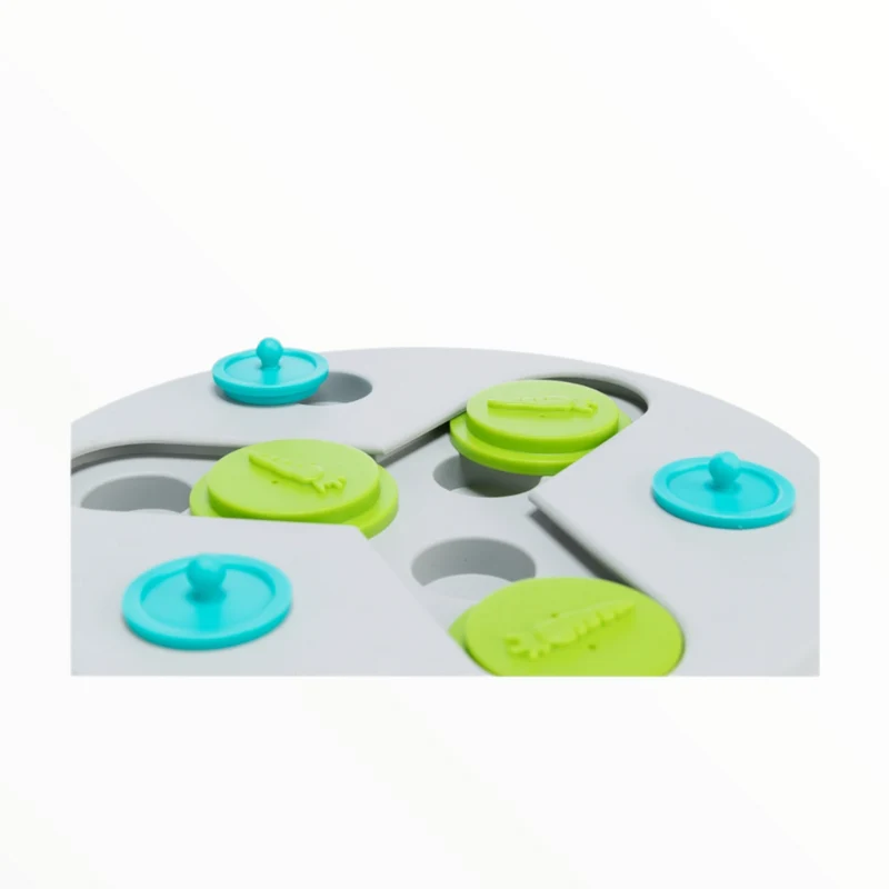 Juego Interactivo Slide Fun Board para Conejos y Roedores — Enriquecimiento