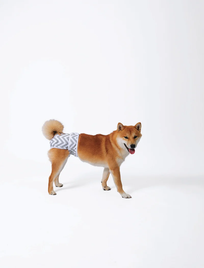 WASHABLE DIAPERS - Female Dog
