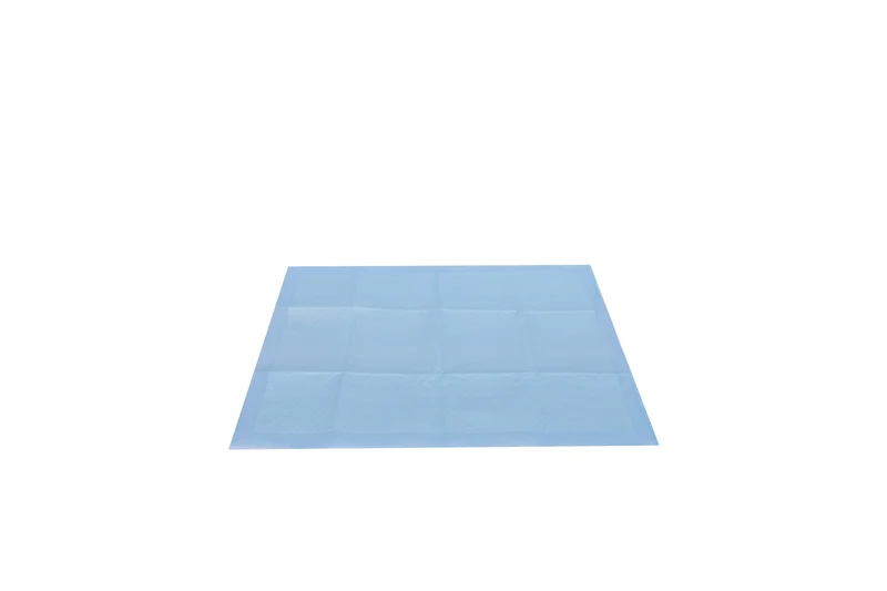 ALL DAY Training Pads 45 x 60 cm - 30 pcs