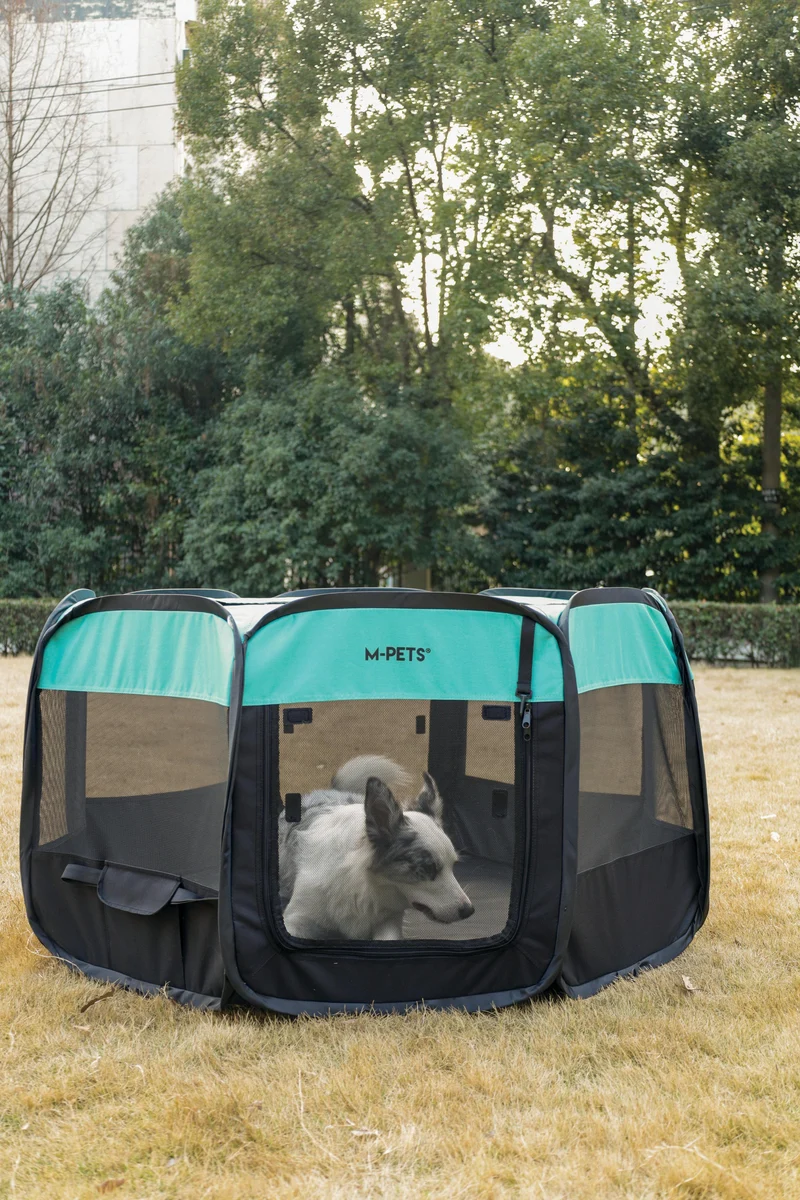 Octagon Puppy Pen - Black & Green