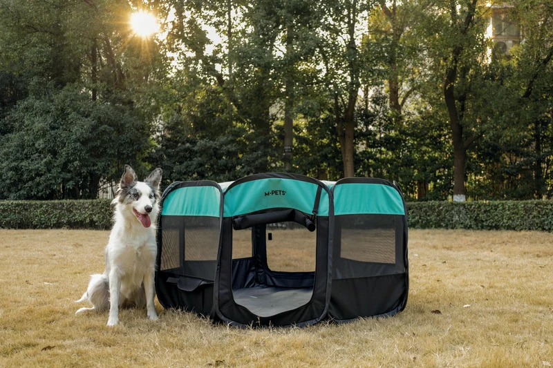 Octagon Puppy Pen - Black & Green