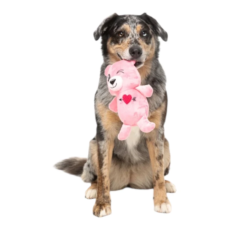 FuzzYard Love Toy Bear Oso para Perros — Peluche Original Australiano
