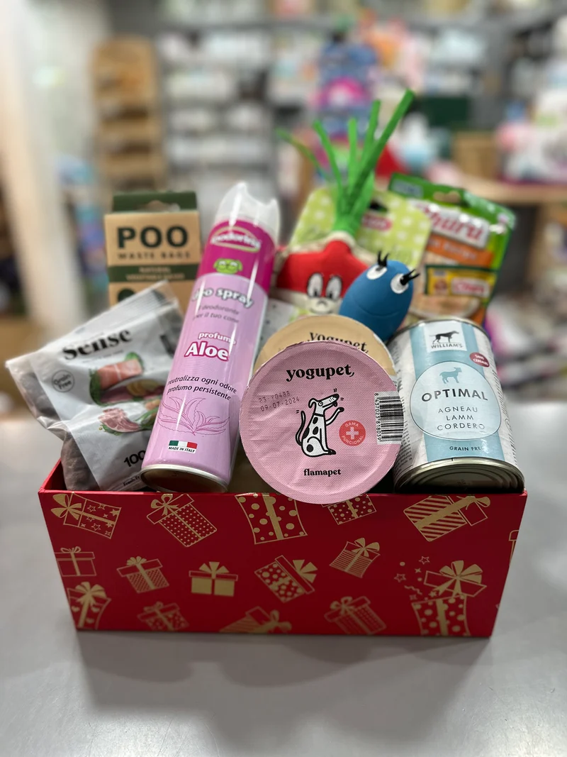 Caja Regalo Sorpresa para Perros — 40 €, montada a mano en tienda