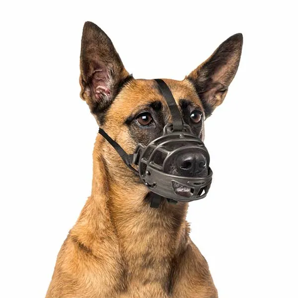 Duvo Bozal Abatible para Perros — Goma Flexible Todas las Tallas