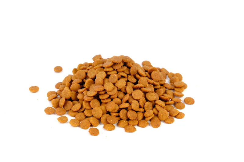 Natura Diet Adult Pollo