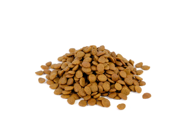Natura Diet Adult Salmon