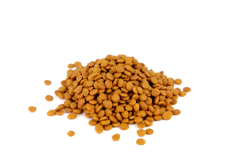 Natura Diet Kitten Pollo