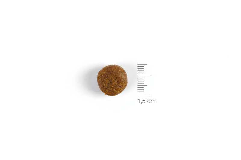 Natura Diet Puppy Junior Large Breed