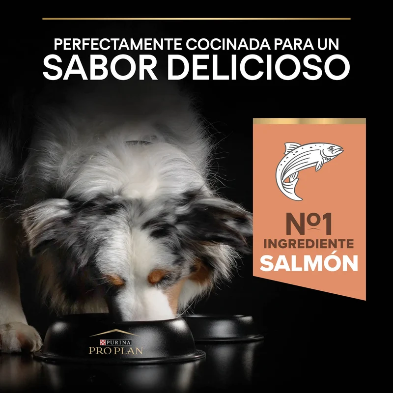 Pro Plan Dog Medium Adult Sensitive Skin Salmón