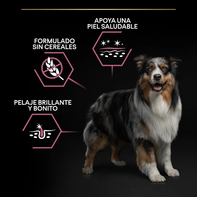 Pro Plan Dog Medium Adult Sensitive Skin Salmón