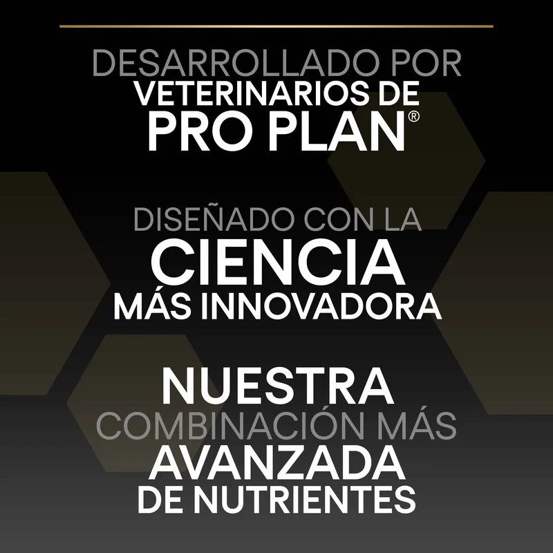 Pro Plan Dog Medium Adult Pollo 14 kg