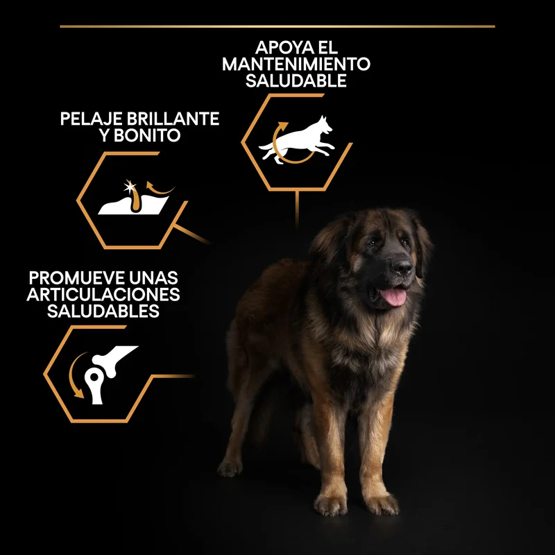 Pro Plan Dog Large Robust Adult Pollo 14 kg