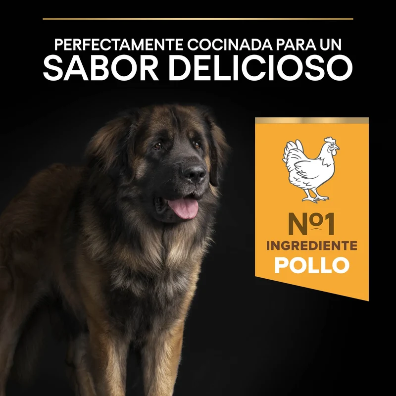 Pro Plan Dog Large Robust Adult Pollo 14 kg