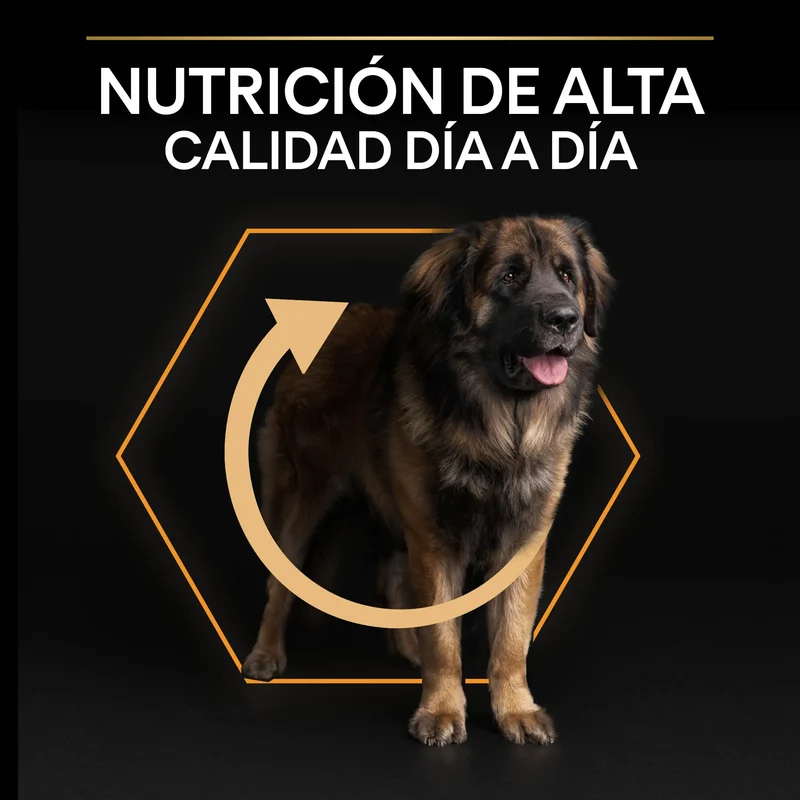 Pro Plan Dog Large Robust Adult Pollo 14 kg