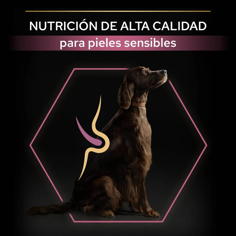 Pro Plan Dog Large Athletic Adult Skin Salmón 14 kg