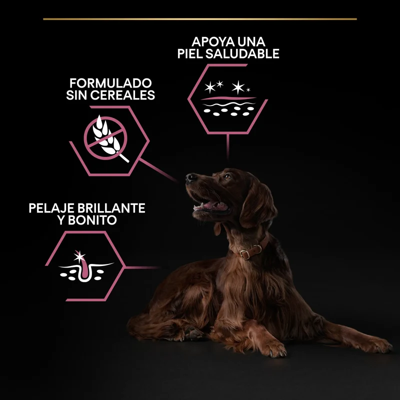 Pro Plan Dog Large Athletic Adult Skin Salmón 14 kg