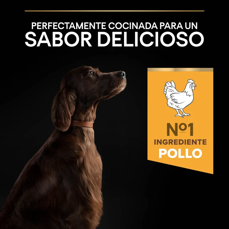 Pro Plan Dog Large Athletic Adult Pollo 14 kg