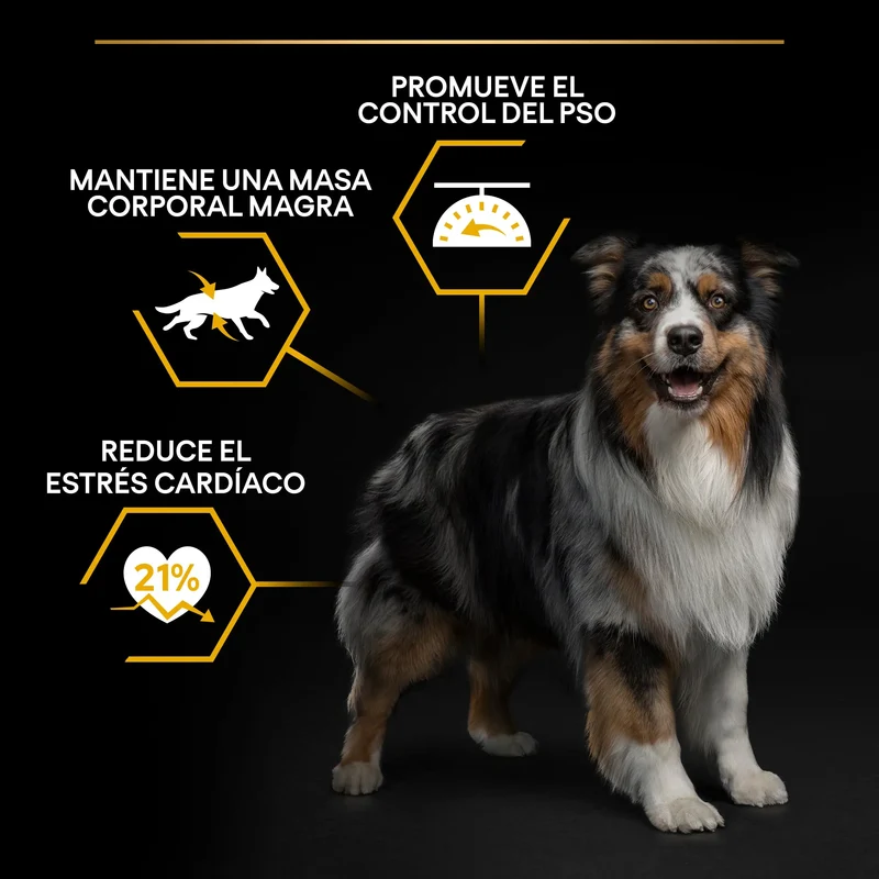 Pro Plan Dog AllSize Light Sterilized Pescado 14 kg