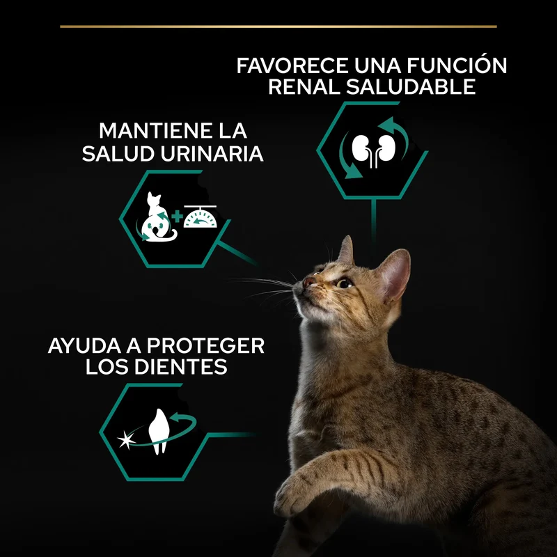 Pro Plan Cat Sterilized Adult Renal+ Pavo 10 kg