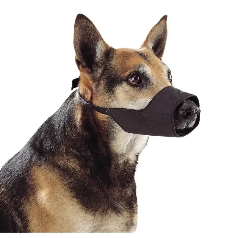 Buster Bozal Nylon para Perro Talla 7