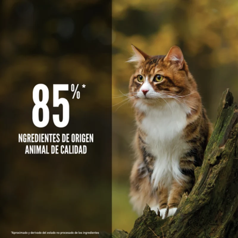 Orijen Cat Regional Red