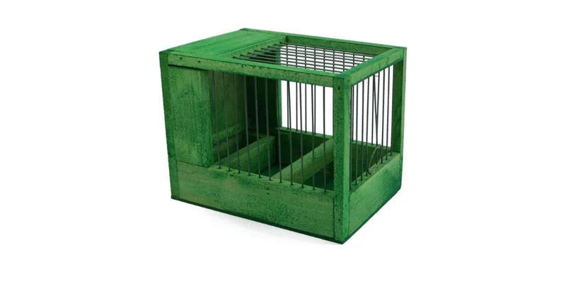 Jaula pequeña verde 21x15.5x14.5cm