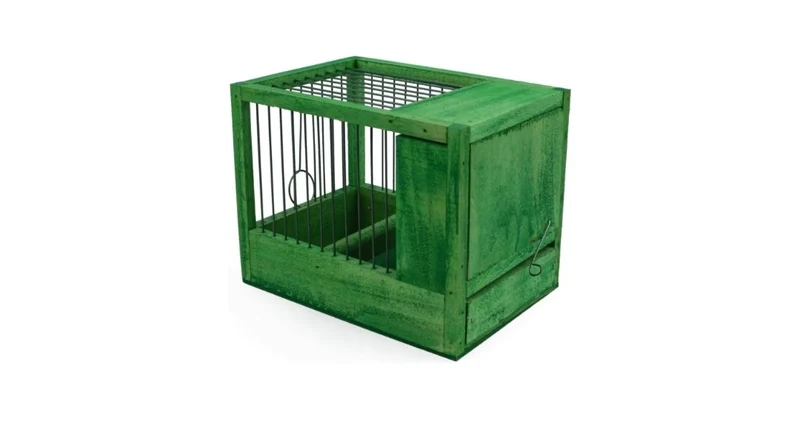 Jaula pequeña verde 21x15.5x14.5cm