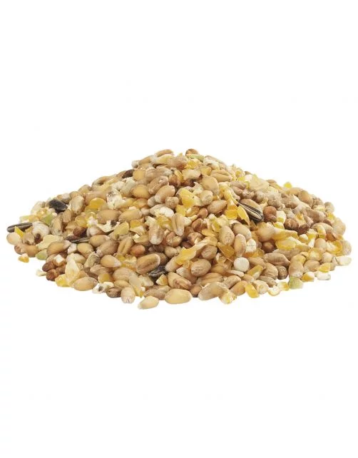 Country's Best Gra-Mix Pienso para pollos de grano Ardenas 20kg