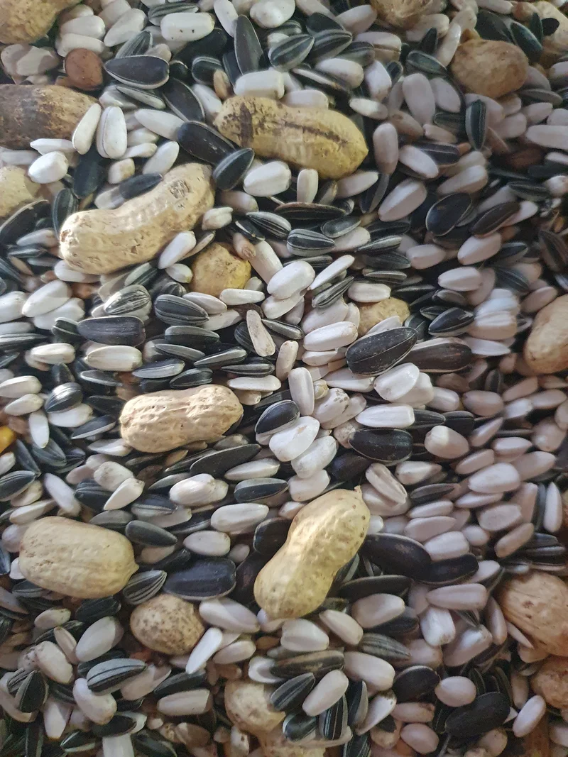 Parrot Mix Duvo+ 3.5kg