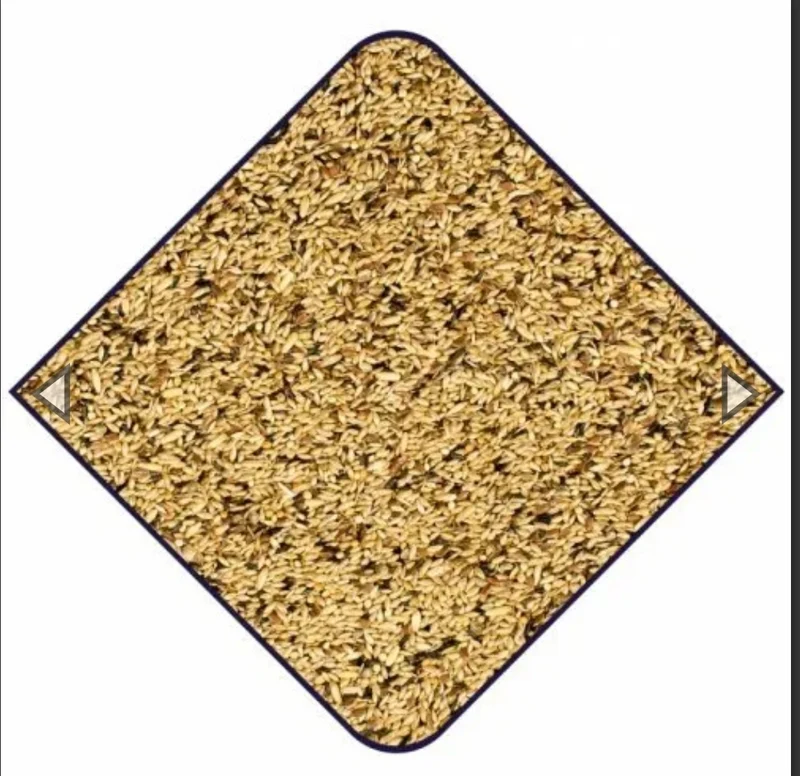 Expert Premium Semillas Silvestres 15kg - Duvo+