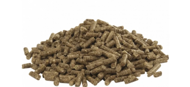 Country's Best AUSTRU 4 Pellet 20kg - Pellet (5mm) Para Ratitas Ponedoras y Cría A Partir del 7º Mes