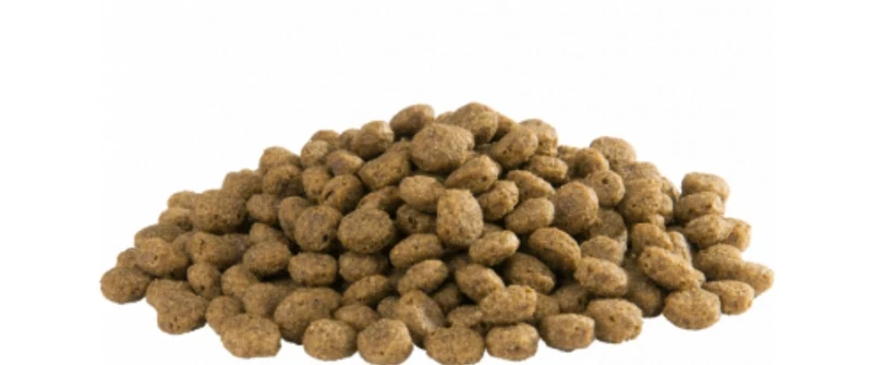 Country's Best - Pellets flotantes multiusos de 4 mm - Para ibis y otras aves zancudas a partir de las 4 semanas - 15 kg - Versele Laga