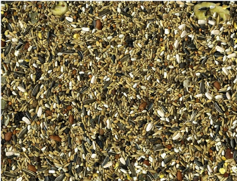Loros Condición Tropical 15 kg - Vadigran