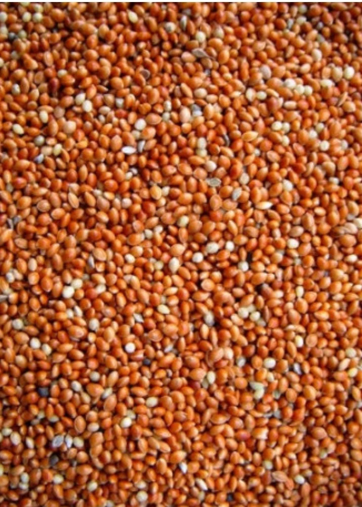 Redonda Roja ( Mijo ) 1kg