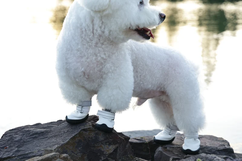 FLEXI SHOES Dog - White edition