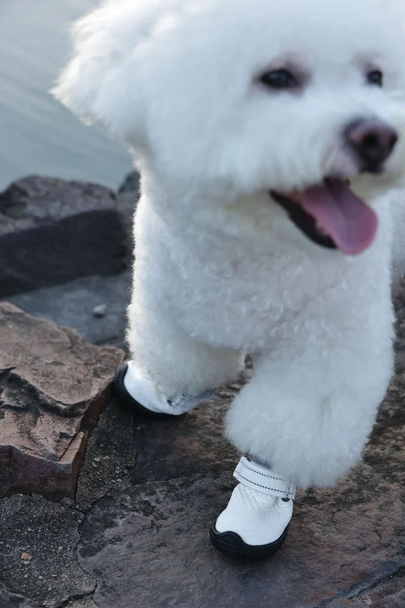 FLEXI SHOES Dog - White edition